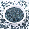 MIYUKI Round Rocailles Beads SEED-JP0008-RR2064-2