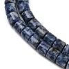 Natural Blue Spot Jasper Beads Strands G-G275-D21-10x10mm-4