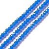 Faceted(32 Facets) Glass Beads Strands EGLA-J042-36A-02-1