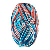 Light Gradient Segment Dyed Polyester Yarn DIY-TADJ0002-005E-2