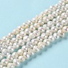 Natural Cultured Freshwater Pearl Beads Strands PEAR-E018-47-2