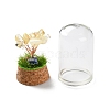 Natural Yellow Quartz Chips Money Tree in Dome Glass Bell Jars with Wood Base Display Decorations DJEW-K030-02H-3