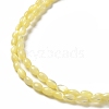 Natural Trochus Shell Beads Strands SHEL-K006-19C-3