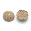 Natural Picture Jasper Cabochons G-P393-R51-6MM-2