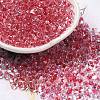 Glass Seed Beads SEED-K009-08A-03-1