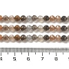 Natural Multi-Moonstone Beads Strands G-B074-B08-03-5