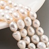 Natural Cultured Freshwater Pearl Beads Strands PEAR-P062-17B-2