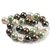 Polished Shell Pearl Bead Strands BSHE-F013-07D-2