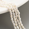 Natural Keshi Pearl Cultured Freshwater Pearl Beads Strands PEAR-P062-21-2