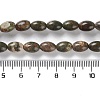 Natural Multi-Color Agate Beads Strands G-I369-B14-01-5