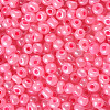 (Repacking Service Available) Glass Seed Beads SEED-C020-4mm-145-2