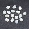 Shell Cabochons SSHEL-P015-59D-1