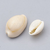 Cowrie Shell Beads X-SSHEL-T004-08-2