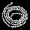 Transparent Glass Beads Strands LS-EGLA-A035-T3mm-D19-3