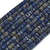 Frosted Natural Sodalite Beads Strands G-K389-C19-01-1