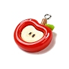 Opaque Resin Pendants RESI-K045-01C-2