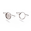 Non-Tarnish 304 Stainless Steel Earring Hooks STAS-F227-22B-P-1