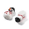 Handmade Lampwork Beads LAMP-I020-19-6