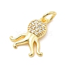 Brass Micro Pave Cubic Zirconia Charms KK-C139-29A-G-2
