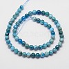 Natural Apatite Beads Strands X-G-D856-01-6.5mm-2
