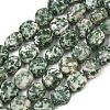 Natural Green Spot Jasper Beads Strands GG-CBA787B-A13-2