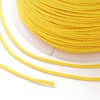 Nylon Thread X-NWIR-K013-B18-3