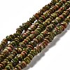 Natural Unakite Beads Strands G-G841-B13-1