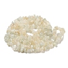 Natural White Moonstone Beads Strands G-P332-01-5