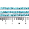 Natural Howlite Beads Strands G-G001-A02-04-5