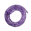 Natural Amethyst Beads Strands G-B037-02A-01-5