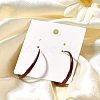 Alloy & 925 Sterling Silver Hoop Earrings EJEW-Q013-05A-4