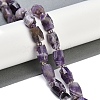 Natural Amethyst Beads Strands G-G182-D03-01-2