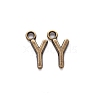 Tibetan Style Alloy Pendants TIBE-S108-108Y-AB-NR-1