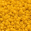 TOHO 6/0 Round Beads X-SEED-TR06-0042B-4