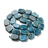 Natural Apatite Beads Strands G-Z043-A03-01-3