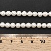 Electroplated Shell Pearl Beads Strands BSHE-K017-5mm-4