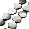 Natural Black Lip Shell Beads Strands BSHE-D300-06C-1