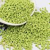 Baking Paint Glass Seed Beads SEED-S042-05B-62-1