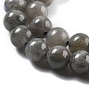 Natural Labradorite Beads Strands G-S333-6mm-035-01-3