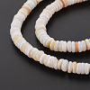 Natural Freshwater Shell Beads Strands SHEL-T018-31-4