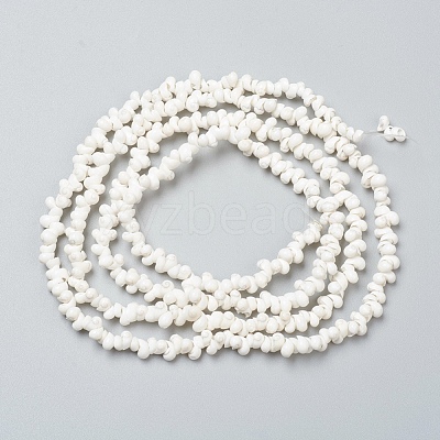 Natural Spiral Shell Beads Strands BSHE-I011-11C-1