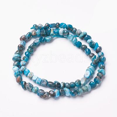Natural Apatite Beads Strands G-F506-12-1