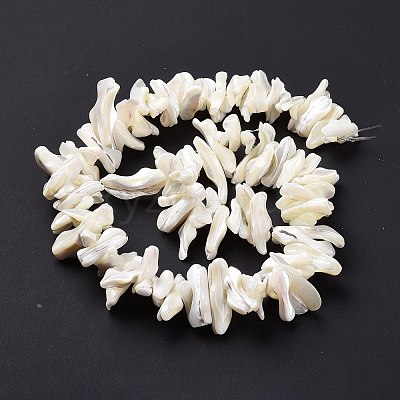 Natural Trochid Shell Beads Strands X-SSHEL-G023-05B-1