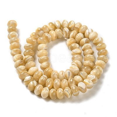 Natural Trochus Shell Beads Strands SHEL-K006-25A-1