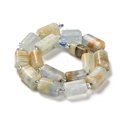 Natural Blue Calcite Beads Strands G-N327-06-05-1