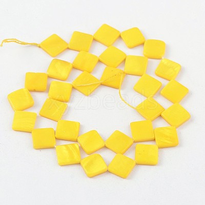Natural Freshwater Shell Beads SHEL-S214-1-1