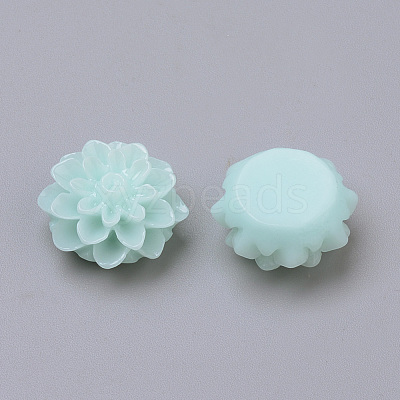 Resin Cabochons RB772Y-16-1