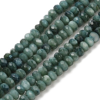 Natural Freshwater Shell Dyed Beads Strands SHEL-R100-13A-05-1