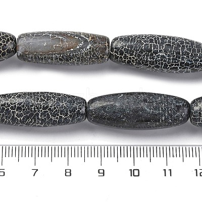 Natural Weathered Agate Beads Strands G-P570-C01-01-1