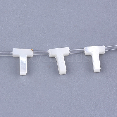 Natural Sea Shell Beads SHEL-T012-60T-1
